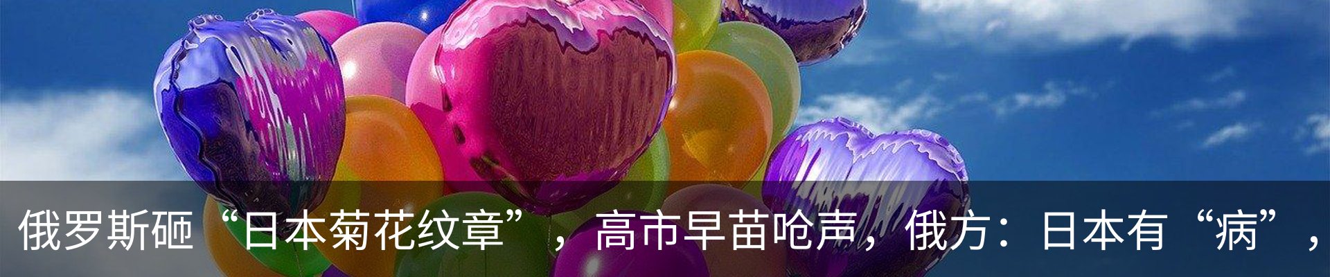 新闻动态