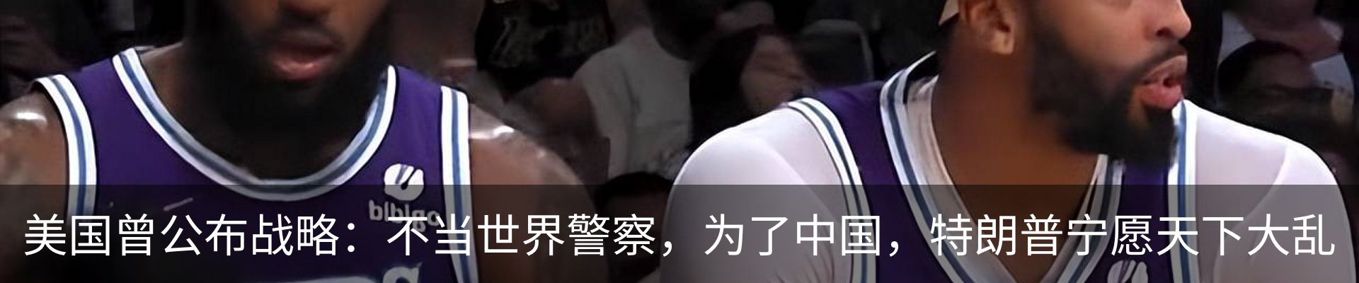 新闻动态