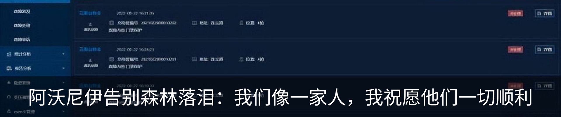 新闻动态